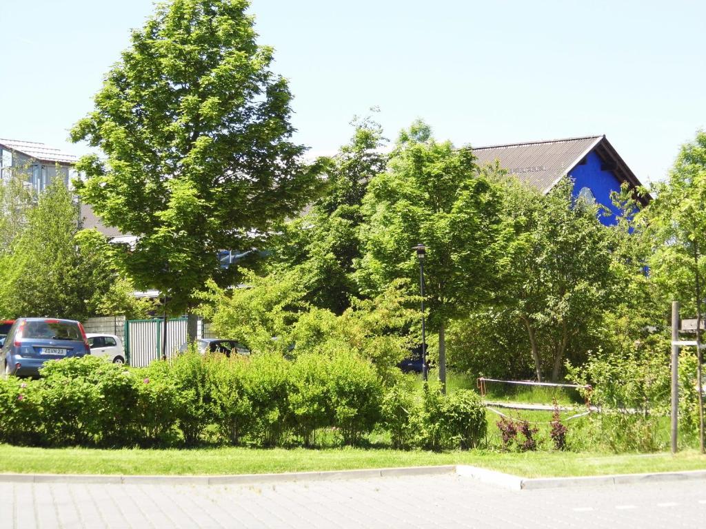 Reit- Und Sporthotel Eibenstock Esterno foto